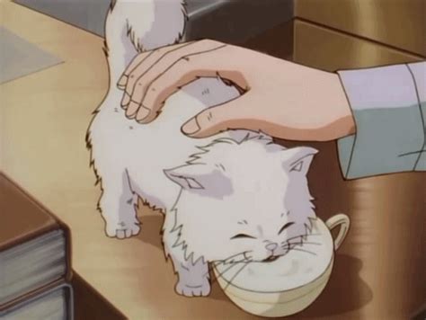 Cute Anime Menhera Yes Sir GIF. . Anime cat gif